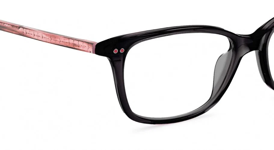 Etnia Barcelona Vintage ROSES Eyeglasses - view 25